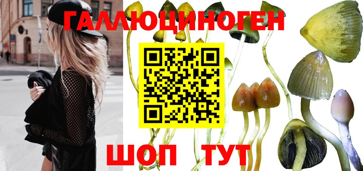 Галлюциногенные грибы GOLDEN TEACHER Нижний Новгород